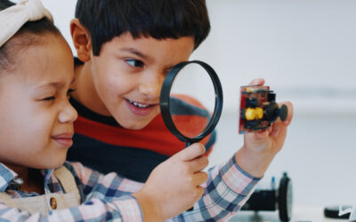 Teaching problem-solving skills in early childhood education and care settings: A focus on science, technology, engineering and mathematics activities