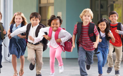 The Economics of Age at School Entry: Insights from Evidence and Methods